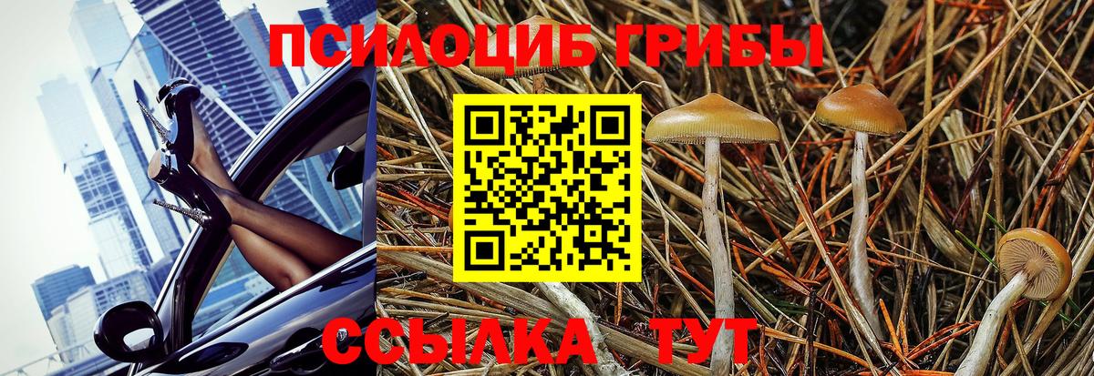 Галлюциногенные грибы ЛСД Чапаевск