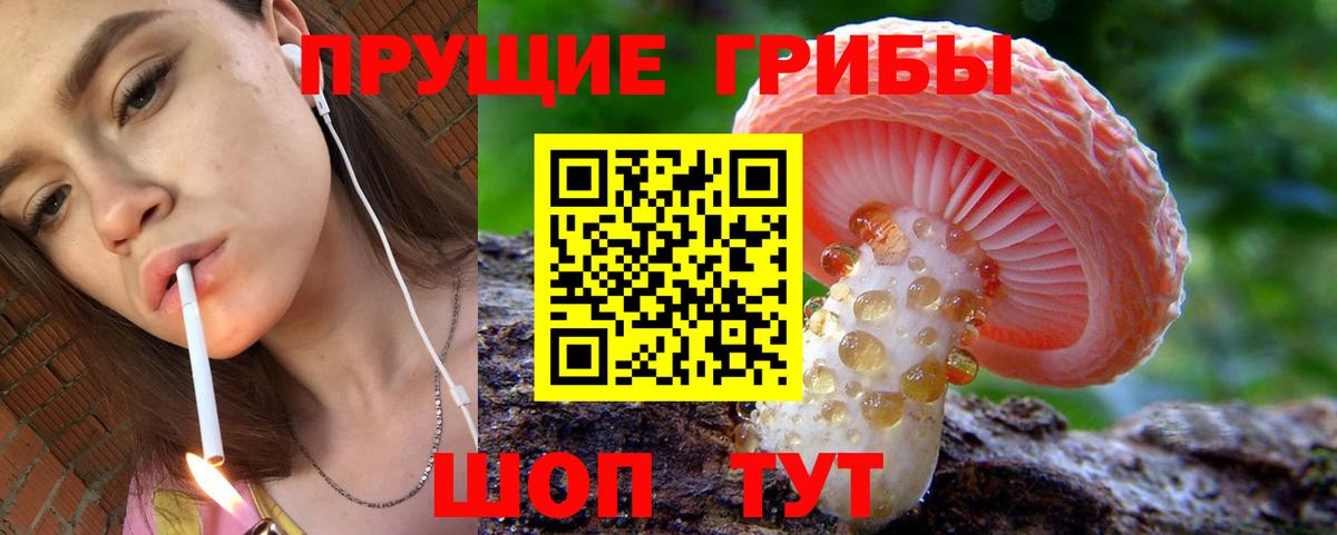 как найти   Галлюциногенные грибы мухоморы  Вход с VPN  Чапаевск 